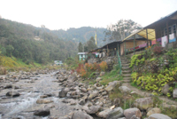 Rishikhola - Rishi Nature Camp